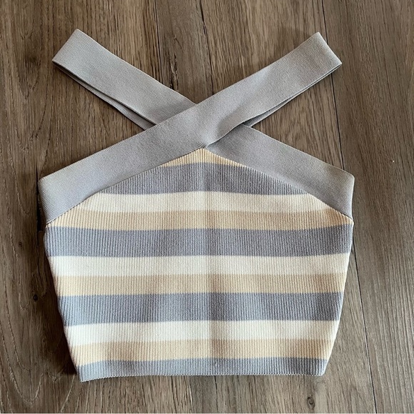 Aritzia Tops - Striped Knit Crop Top​